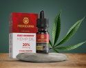 Olejek CBD 20% Full Spectrum – Maksymalne Wsparcie Organizmu