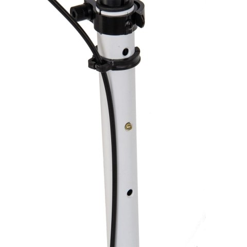 HULAJNOGA ENERO ULTRA SPEED 200MM Z HAMULCEM TARCZOWYM BIAŁA HULAJNOGA ENERO ULTRA SPEED 200MM Z HAMULCEM TARCZOWYM BIAŁA