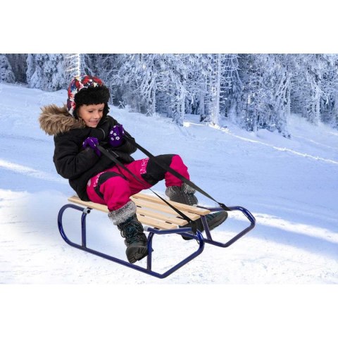 SANKI METALOWE KULIGOWE 2 OSOBOWE NIEBIESKIE SANKI METALOWE KULIGOWE 2 OSOBOWE NIEBIESKIE