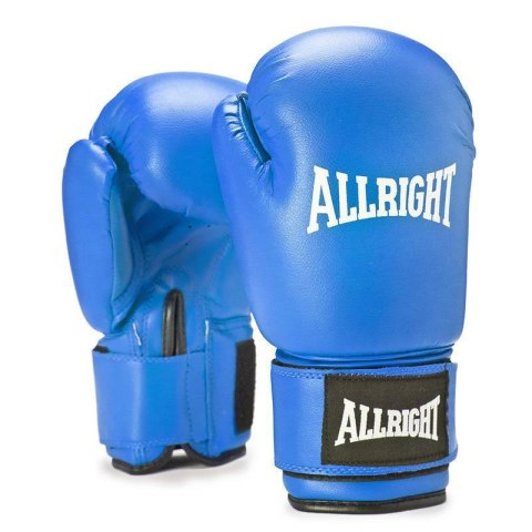 RĘKAWICE BOKSERSKIE TRAINING PRO 10oz RĘKAWICE BOKSERSKIE TRAINING PRO 10oz