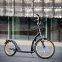 WH200 BLACK/GOLD 20/16'' HULAJNOGA Z POMP. KOŁAMI NILS EXTREME