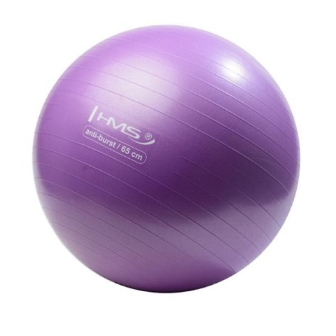 YB02 NEW 65CM PURPLE ANTI-BURST PIŁKA GIMNASTYCZNA HMS YB02 NEW 65CM PURPLE ANTI-BURST PIŁKA GIMNASTYCZNA HMS