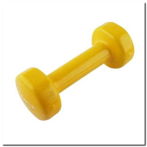 17023 CIĘŻAREK ŻELIWNY POKRYTY WINYLEM 1.0 KG HMS 17023 CIĘŻAREK ŻELIWNY POKRYTY WINYLEM 1.0 KG HMS