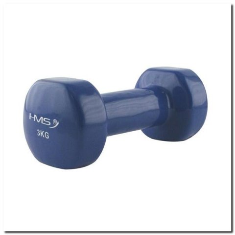 17023 CIĘŻAREK ŻELIWNY POKRYTY WINYLEM 3.0 KG HMS 17023 CIĘŻAREK ŻELIWNY POKRYTY WINYLEM 3.0 KG HMS