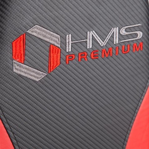 TYTAN 7 Atlas do ćwiczeń 150 lbs (67,5 kg) HMS Premium domowy TYTAN 7 Atlas do ćwiczeń 150 lbs (67,5 kg) HMS Premium domowy