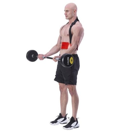 ABX02 ARM BLASTER ĆWICZENIA BICEPSÓW HMS proste plecy, maksymalne napięcie ABX02 ARM BLASTER ĆWICZENIA BICEPSÓW HMS proste plecy, maksymalne napięcie
