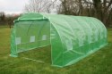 Tunel foliowy Promis TF630