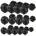 HEX PRO 40 KG – Hantla Gumowana HMS