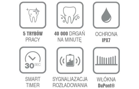 Szczoteczka soniczna do mycia zębów SD100B Szczoteczka soniczna do mycia zębów SD100B