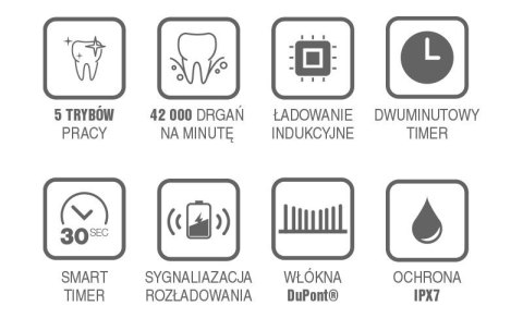 Szczoteczka soniczna do mycia zębów SD200C Szczoteczka soniczna do mycia zębów SD200C
