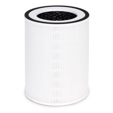 Filtr powietrzny do oczysczacza powietrza Webber AP8250 Filtr powietrzny do oczysczacza powietrza Webber AP8250