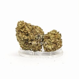 CBD Kwiaty Konopi 