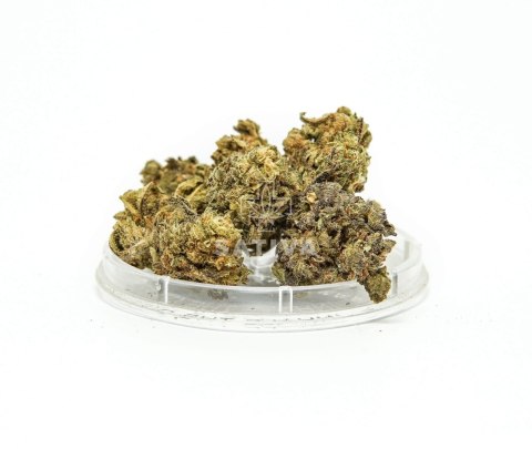 CBD Kwiaty Konopi "BUBBELS" 5 g CBD Kwiaty Konopi "BUBBELS" 5 g