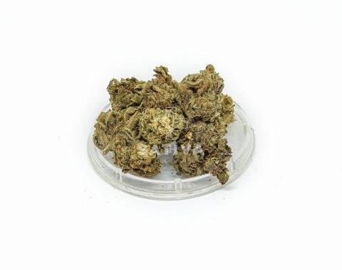 CBD Kwiaty Konopi "BUBBELS" 5 g CBD Kwiaty Konopi "BUBBELS" 5 g