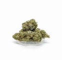 CBD Kwiaty Konopi "KOSHER KUSH" 5 g