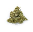 CBD Kwiaty Konopi "KOSHER KUSH" 5 g
