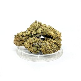 CBD Kwiaty Konopi 