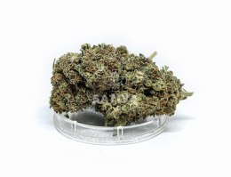 CBD Kwiaty Konopi 