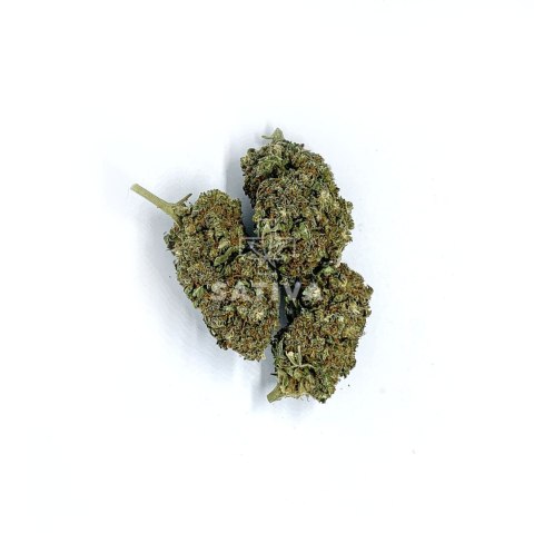 CBD Kwiaty Konopi " SUPER JAMAICA" 5 g CBD Kwiaty Konopi " SUPER JAMAICA" 5 g