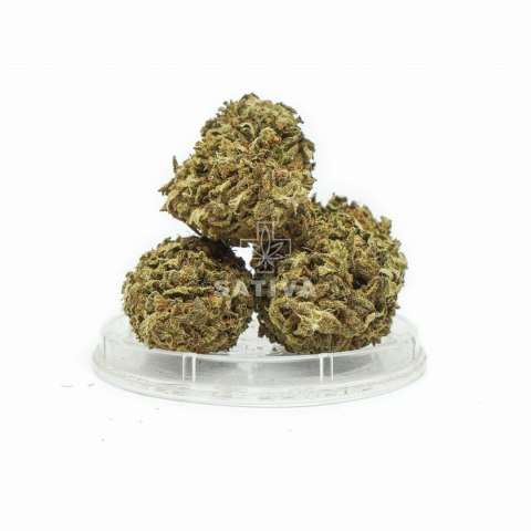 CBD Kwiaty konopi "HAWAI HAZE" 5 g CBD Kwiaty konopi "HAWAI HAZE" 5 g
