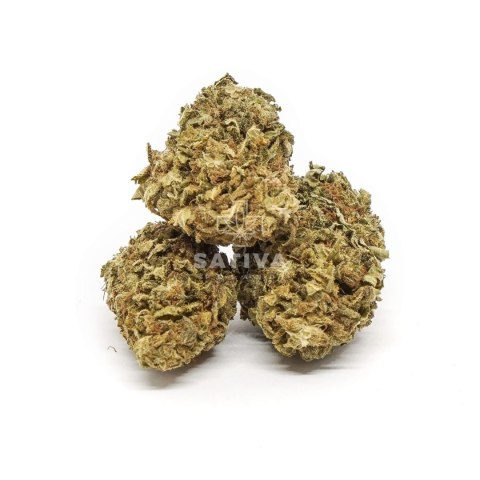 CBD Kwiaty konopi "HAWAI HAZE" 5 g CBD Kwiaty konopi "HAWAI HAZE" 5 g