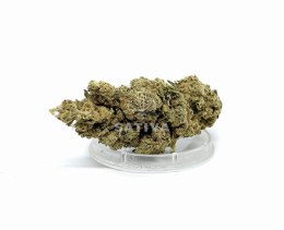 CBD Kwiaty konopi 