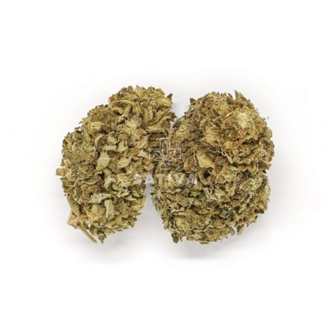 CBD Kwiaty Konopi "AMAZING HAZE" 3 g CBD Kwiaty Konopi "AMAZING HAZE" 3 g