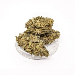CBD Kwiaty Konopi 