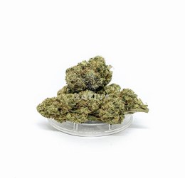 CBD Kwiaty Konopi 