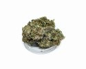 CBD Kwiaty Konopi " SUPER JAMAICA" 3 g
