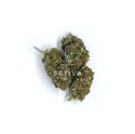 CBD Kwiaty Konopi " SUPER JAMAICA" 3 g