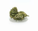 CBD Kwiaty Konopi "TROPICANA" 3 g