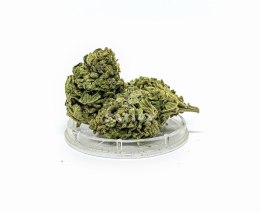 CBD Kwiaty Konopi 