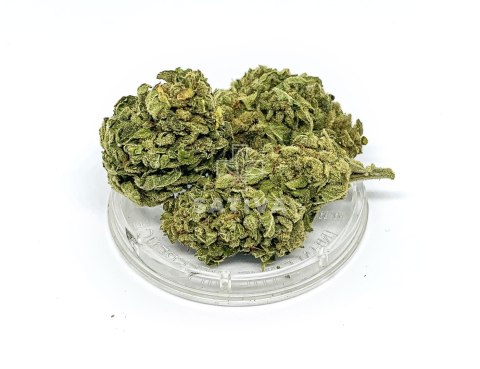 CBD Kwiaty Konopi "TROPICANA" 3 g CBD Kwiaty Konopi "TROPICANA" 3 g