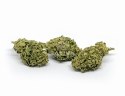 CBD Kwiaty Konopi "TROPICANA" 3 g