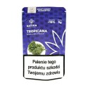CBD Kwiaty Konopi "TROPICANA" 5 g