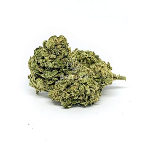 CBD Kwiaty Konopi "TROPICANA" 5 g CBD Kwiaty Konopi "TROPICANA" 5 g