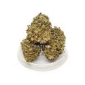 CBD Kwiaty konopi "HAWAI HAZE" 3 g