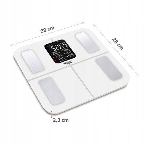 Waga Łazienkowa Analityczna 16 Parametrów Apple Health, Google Fit, IF1320B Waga Łazienkowa Analityczna 16 Parametrów Apple Health, Google Fit, IF1320B