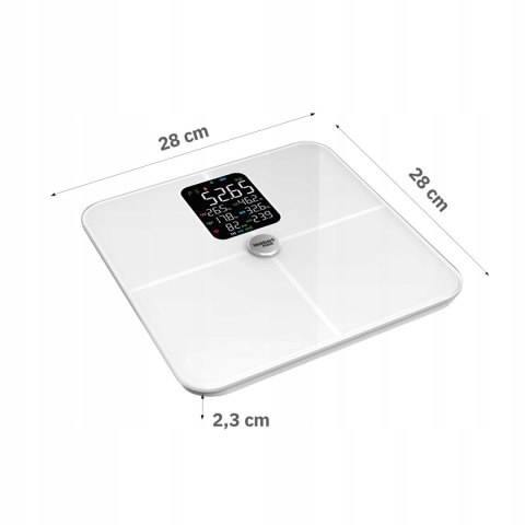 Waga Łazienkowa Analityczna 16 Parametrów Apple Health, Google Fit, IF1321B Waga Łazienkowa Analityczna 16 Parametrów Apple Health, Google Fit, IF1321B