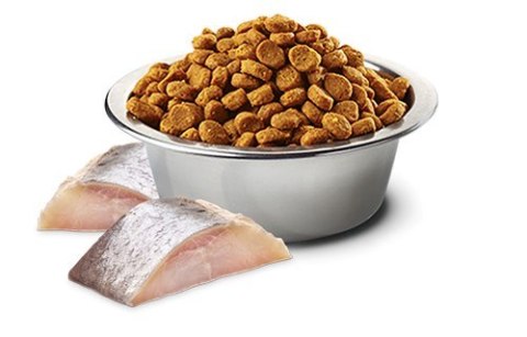 FARMINA N&D Spirulina Herring Adult Medium&Maxi - sucha karma dla psa - 7 kg