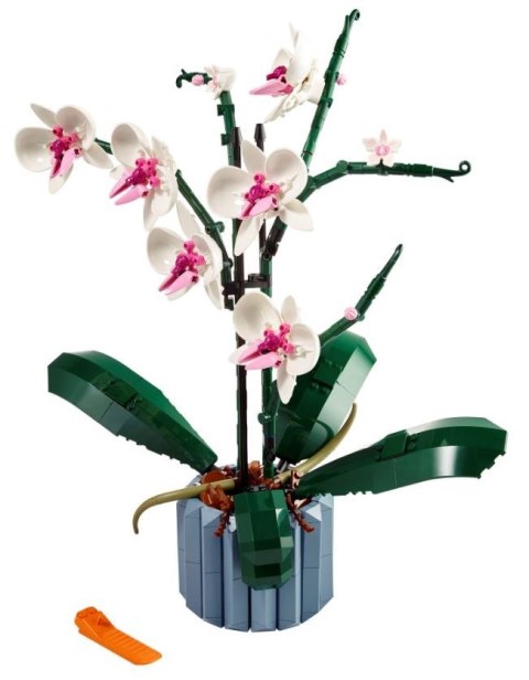 X LEGO Icons 10311 Orchidea