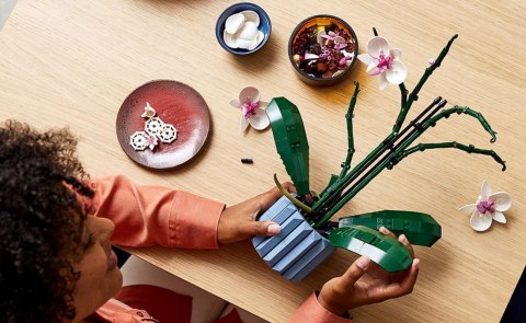 X LEGO Icons 10311 Orchidea