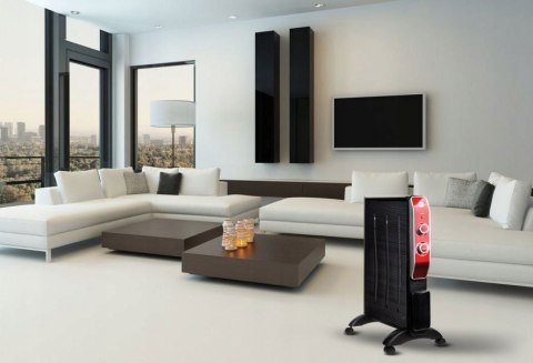 Grzejnik konwektorowy HM1300