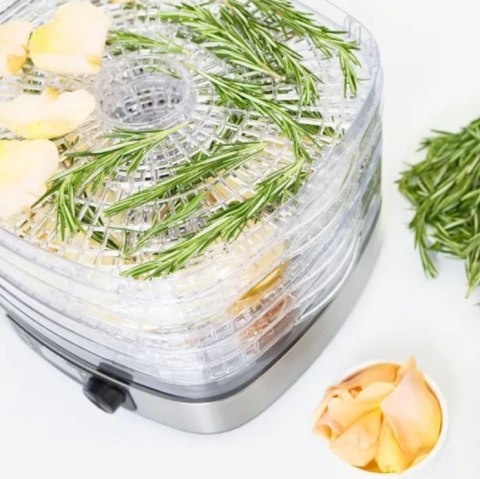 Suszarka spożywcza MPM MSG-12 Suszarka spożywcza MPM MSG-12