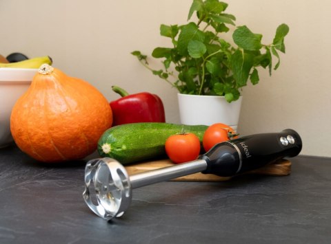 Blender ręczny 800W Ideal IK1001 czarny