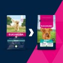 EUKANUBA Adult Large Breed Lamb & Rice 12kg EUKANUBA Adult Large Breed Lamb & Rice 12kg