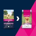 EUKANUBA Puppy Large rich in lamb 12kg EUKANUBA Puppy Large rich in lamb 12kg