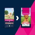 EUKANUBA Senior Large Lamb and Rice 12kg EUKANUBA Senior Large Lamb and Rice 12kg