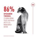 ROYAL CANIN FHN Cat Exigent Fussy 10kg